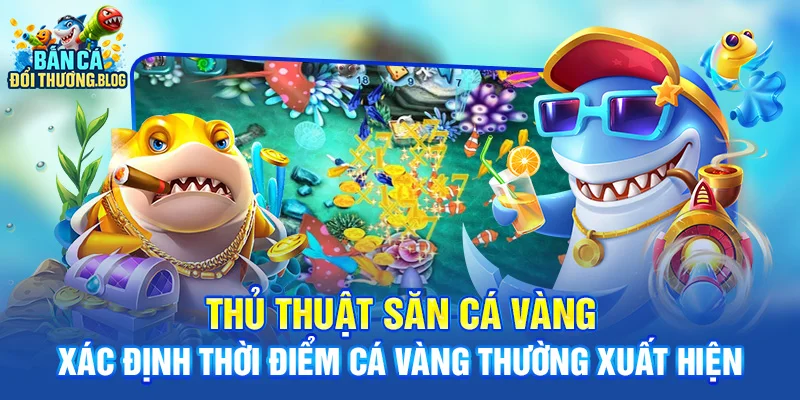 Thủ Thuật Săn Cá Vàng Ăn Nhiều Xu 8 Thủ thuật săn cá vàng - xác định thời điểm cá vàng thường xuất hiện